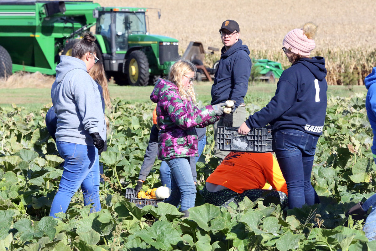 St Joseph Pumpkin Patch (1).jpg